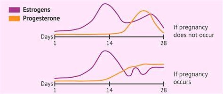 Is drospirenone a progesterone?