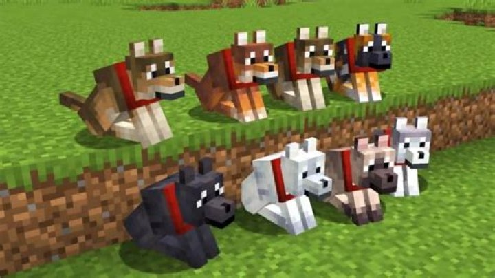 What can dogs do in Minecraft?