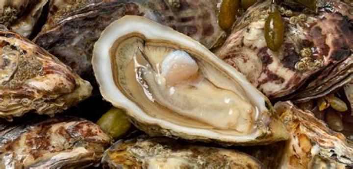 Why do oysters taste so good?